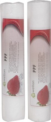 

Wellon Pre-Filter 10 Inch Solid Filter Cartridge(0.2, Pack of 2)