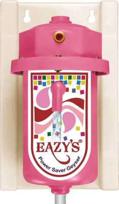 Eazy 1 L Instant Water Geyser