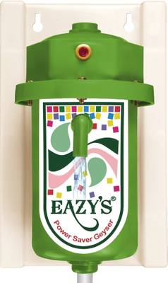 Eazy 1 L Instant Water Geyser