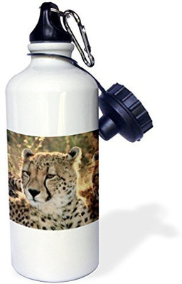 

3dRose 621 ml Water Purifier Bottle(White)