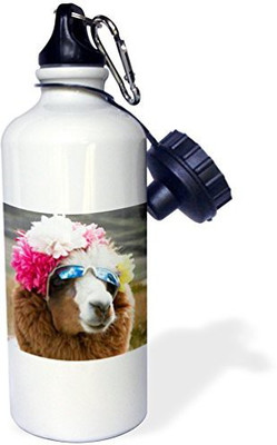 

3dRose 621 ml Water Purifier Bottle(White)