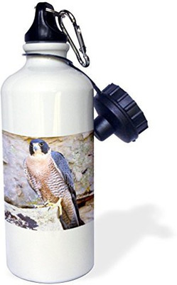 

3dRose 621 ml Water Purifier Bottle(White)