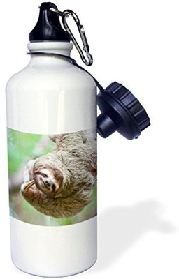

3dRose 621 ml Water Purifier Bottle(White)