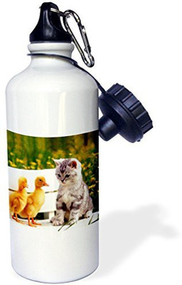 

3dRose 621 ml Water Purifier Bottle(White)