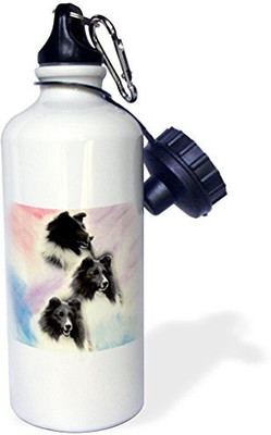 

3dRose 621 ml Water Purifier Bottle(White)