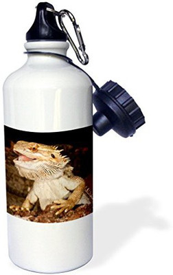 

3dRose 621 ml Water Purifier Bottle(White)