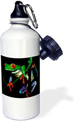 

3dRose 621 ml Water Purifier Bottle(White)
