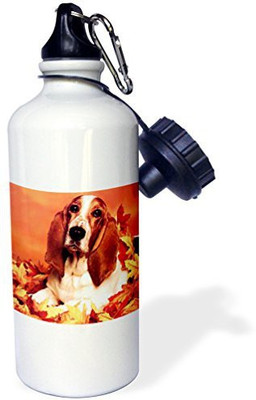 

3dRose 621 ml Water Purifier Bottle(White)