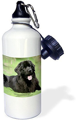 3dRose 621 ml Water Purifier Bottle(White)