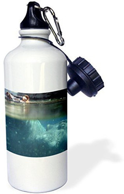 

3dRose 621 ml Water Purifier Bottle(White)