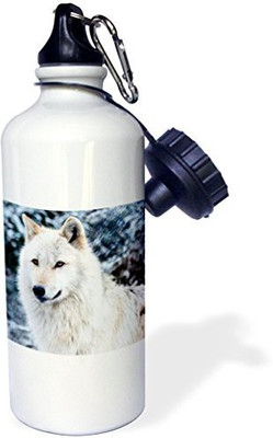 

3dRose 621 ml Water Purifier Bottle(White)