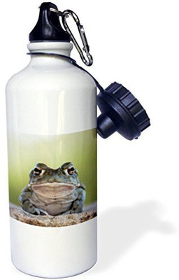 

3dRose 621 ml Water Purifier Bottle(White)
