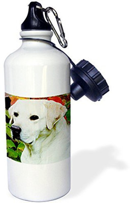 

3dRose 621 ml Water Purifier Bottle(White)