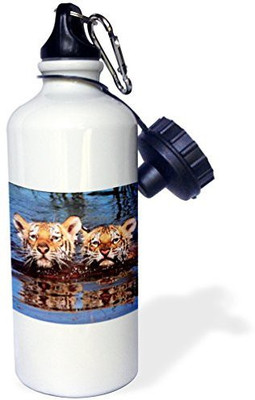 

3dRose 621 ml Water Purifier Bottle(White)