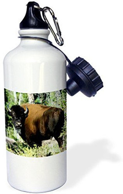 

3dRose 621 ml Water Purifier Bottle(White)