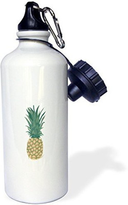 

3dRose 621 ml Water Purifier Bottle(White)