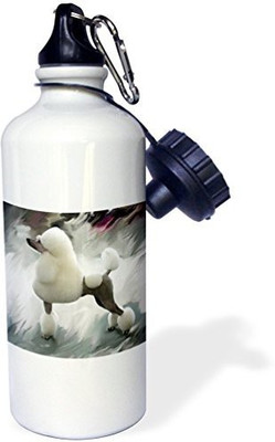 

3dRose 621 ml Water Purifier Bottle(White)