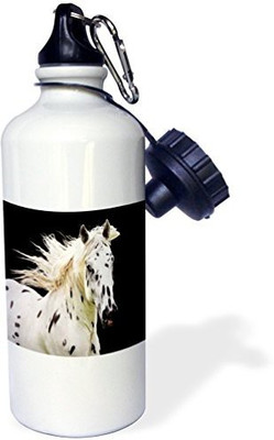 

3dRose 621 ml Water Purifier Bottle(White)