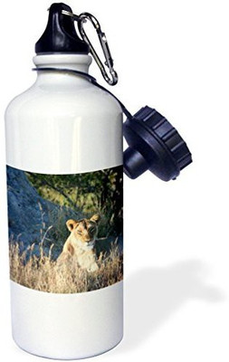 

3dRose 621 ml Water Purifier Bottle(White)