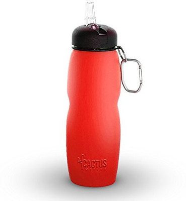 

Blue Mountains Products 710 ml Water Purifier Bottle(Red)