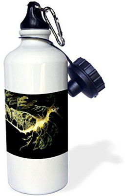 

3dRose 621 ml Water Purifier Bottle(White)