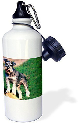 

3dRose 621 ml Water Purifier Bottle(White)