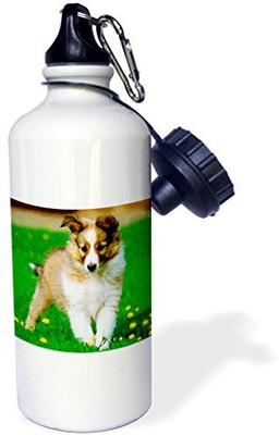 

3dRose 621 ml Water Purifier Bottle(White)