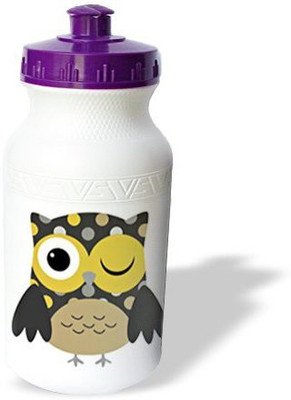 

3dRose 621 ml Water Purifier Bottle(White)