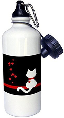 

3dRose 621 ml Water Purifier Bottle(White)