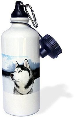 3dRose 621 ml Water Purifier Bottle(White)