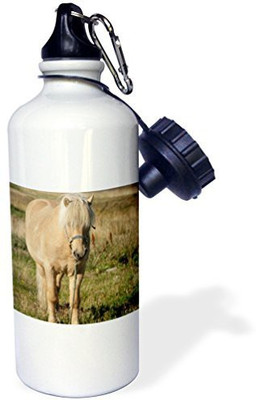 

3dRose 621 ml Water Purifier Bottle(White)