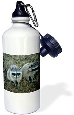

3dRose 621 ml Water Purifier Bottle(White)