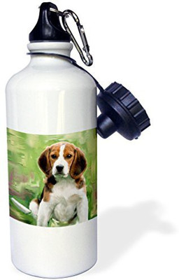 

3dRose 621 ml Water Purifier Bottle(White)