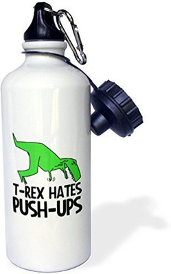 

3dRose 621 ml Water Purifier Bottle(White)