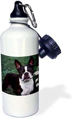 

3dRose 621 ml Water Purifier Bottle(White)