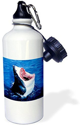 

3dRose 621 ml Water Purifier Bottle(White)