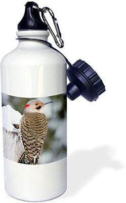 

3dRose 621 ml Water Purifier Bottle(White)