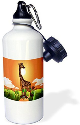 

3dRose 621 ml Water Purifier Bottle(White)