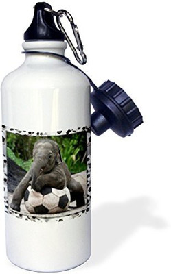 

3dRose 621 ml Water Purifier Bottle(White)