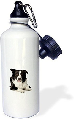 

3dRose 621 ml Water Purifier Bottle(White)