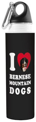 

Tree-Free Greetings 532 ml Water Purifier Bottle(Multicolor)