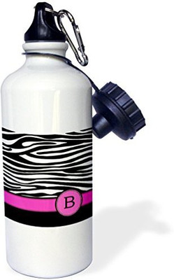 

3dRose 621 ml Water Purifier Bottle(White)