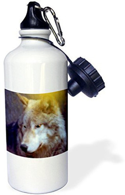 

3dRose 621 ml Water Purifier Bottle(White)