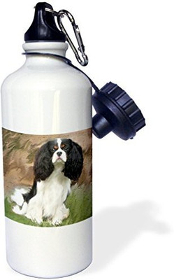 

3dRose 621 ml Water Purifier Bottle(White)