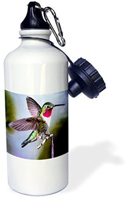 

3dRose 621 ml Water Purifier Bottle(White)