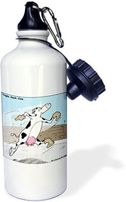 

3dRose 621 ml Water Purifier Bottle(White)