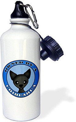 

3dRose 621 ml Water Purifier Bottle(White)