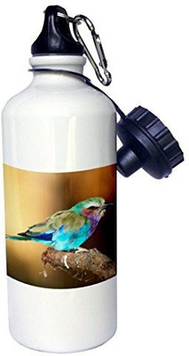 

3dRose 621 ml Water Purifier Bottle(White)