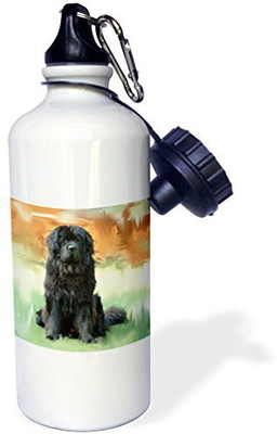 

3dRose 621 ml Water Purifier Bottle(White)