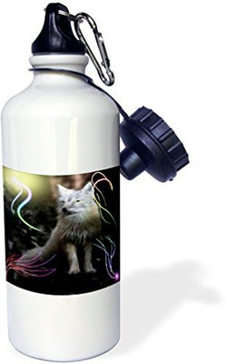 

3dRose 621 ml Water Purifier Bottle(White)